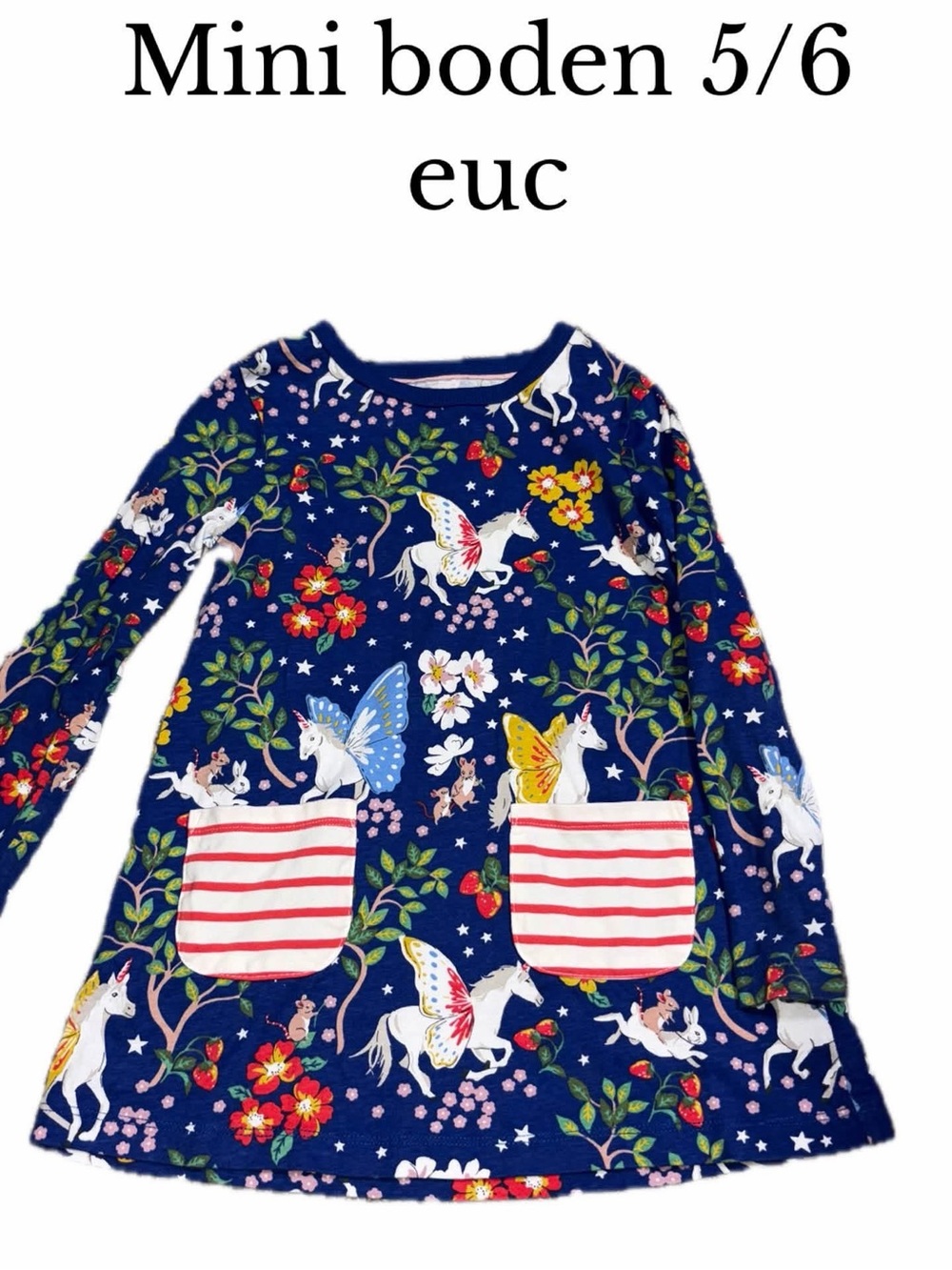 Mini boden 5-6 unicorn Pegasus tunic dress